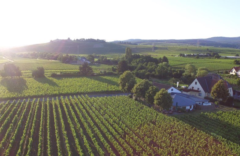 Weingut H. Krayer | © Weingut H. Krayer