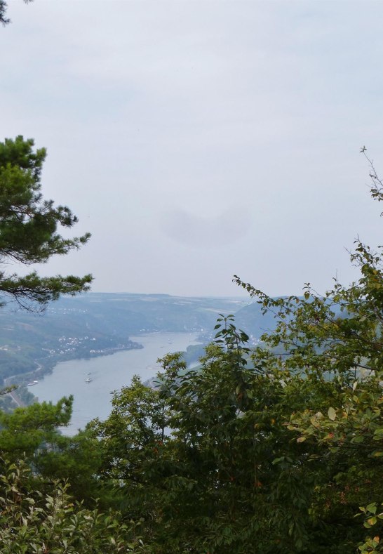 Rheinsteigwandern ab G&auml;stehaus R&ouml;&szlig;ler | &copy; Weingut Michael R&ouml;&szlig;ler